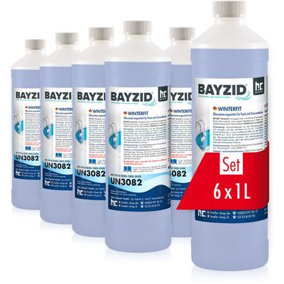 6x 1 l bayzid® Winterfit Überwinterungsmittel für Pools Image