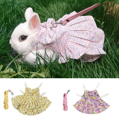 Mode Chinchilla Kaninchen Rock Kleid für Kleine Tiere Süße Haustier Kleidung mit Schnalle Hase Image
