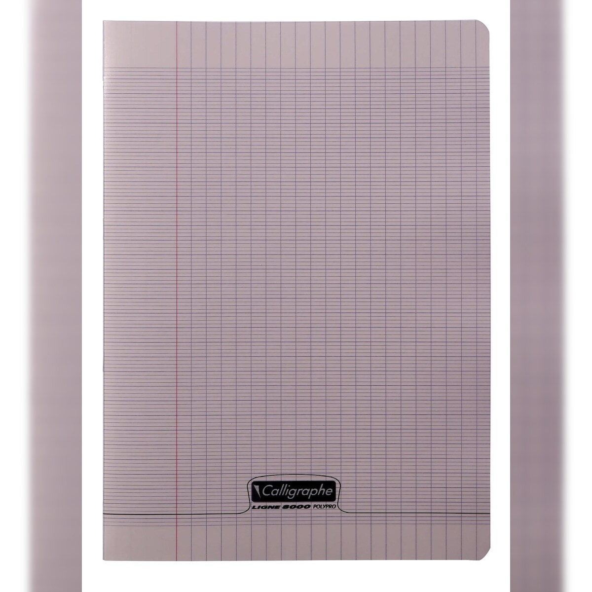 Calligraphe 10x PIQ.8000 PP grau 21X29,7 48P SEYES 90G- Grau 18026C Image