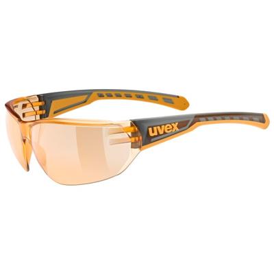 Uvex - Equate Cat. 1 (VLT 72%) - Sonnenbrille beige Image