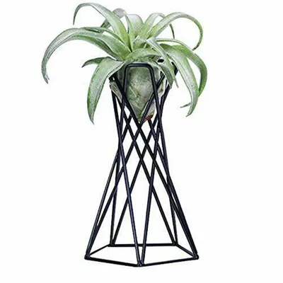 Geometric Soilless Plant Base Tall Candle Holder Manual Weeding Gardening Tools