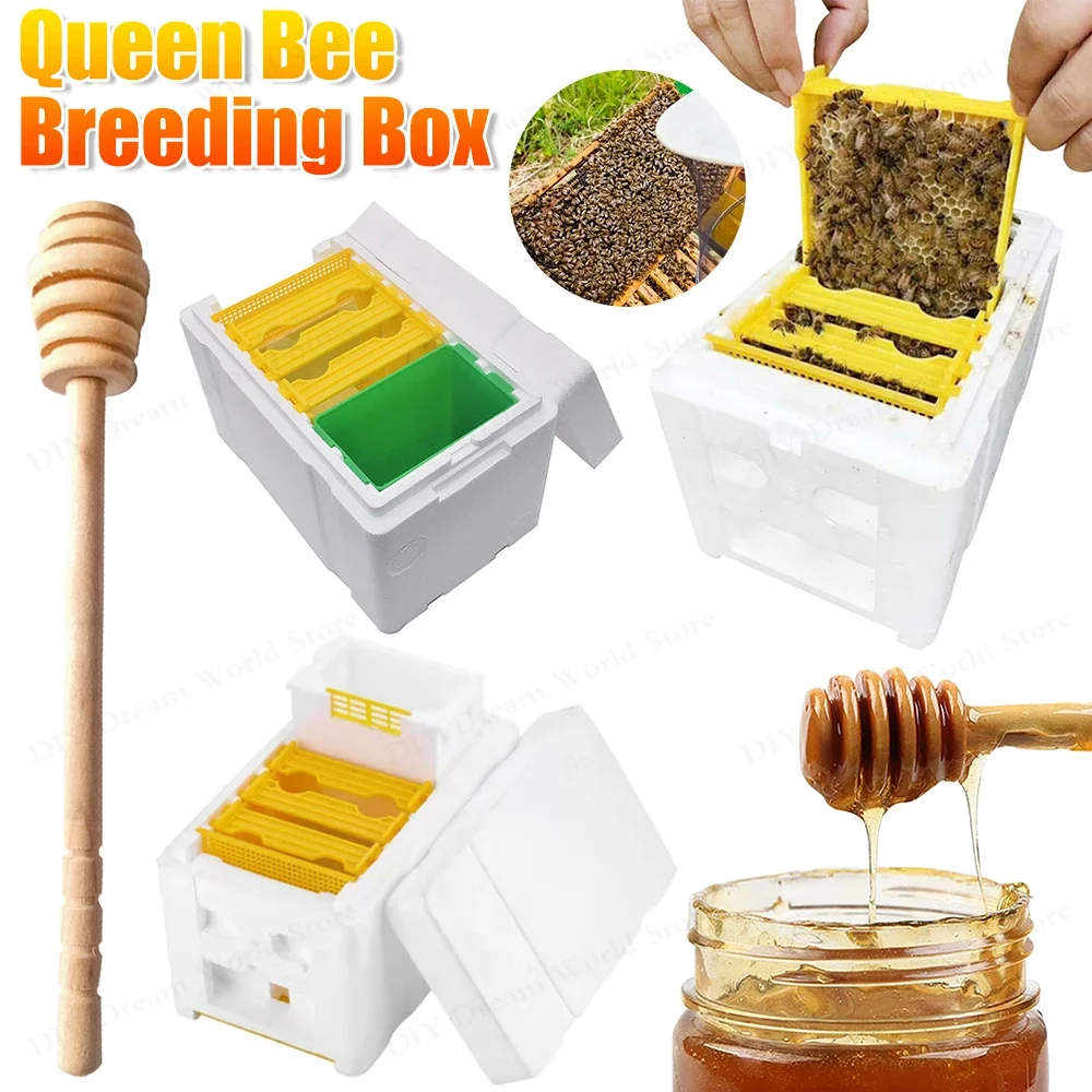 Bee Hive Schaum Bienenzucht Box Bienenkönigin Zucht Box Imker Garten Bestäuber Box Bienenzucht Fall Bienenzucht Ausrüstung Image