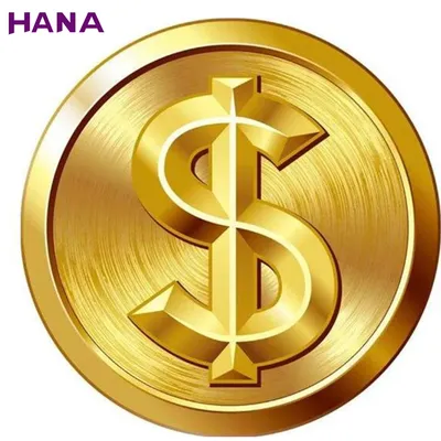 HANA Payment Link for Express shipping fees/ Customized fees
