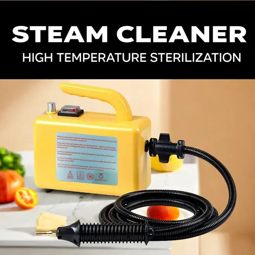 Nettoyeur vapeur haute température 220V, stérilisation, climatisation, hotte de cuisine, voiture, appareils ménagers, prise UE