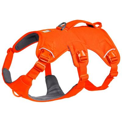 Ruffwear - Web Master Harness - Hundegeschirr Gr L/XL orange Image