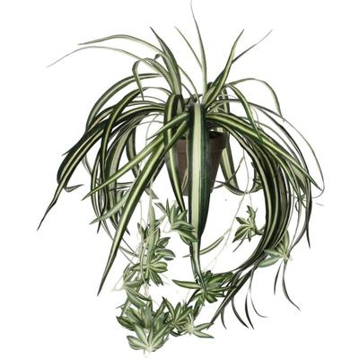 Mica Chlorophytum im Topf grün, 45 x 45 cm Kunstpflanzen Image