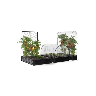 Komplettset aus 3 modulierbaren Metallbehältern Gemüse- und Tomatengewächshaus + Rankgitter + Image
