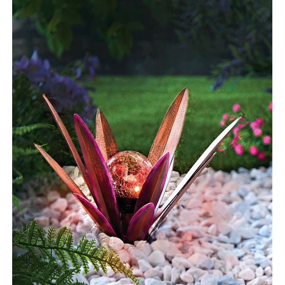 Solardeko Agave rosa Gainsborough Image