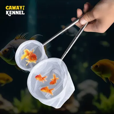 Fishing+Gear