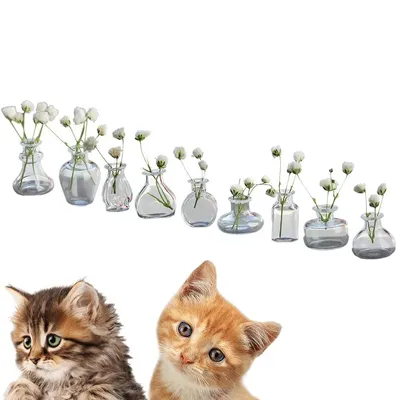 Vases