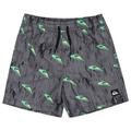 Quiksilver - Kid's Next Gen Volley 14 - Boardshorts Gr 12 Years grau