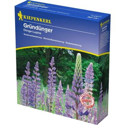 Gründünger Düngelupinen Lupinus angustifolius, Inhalt 1 kg Keine Angabe - Kiepenkerl Image