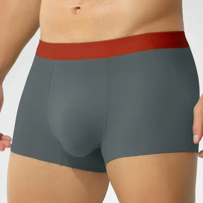 5pc Herren Eis Seide nahtlose Unterwäsche hochwertige doppelseitige Boxer bequeme Sommer dünne Image
