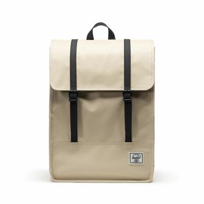 Survey II Backpack