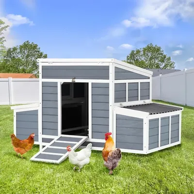 Chicken Coop, 56
