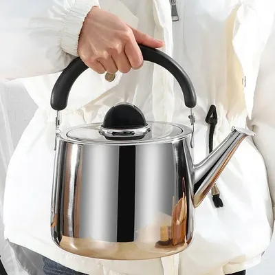 DUTRIEUX 2L/3L/4L Thickened Whistle Kettle 304 Stainless Steel Rapid Heating Boiling Water Pot for