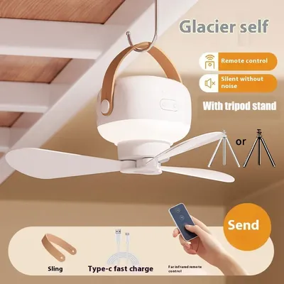 Ceiling+Fans