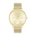 Montre Calvin Klein Timeless Multi Champagne