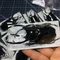 Chalcosoma Atlas Keyboh Campione di insetti reali Insetti Steampunk Insegnamento Ricerca Collezione Hobby Artigianato fai da te Decorazione della casa