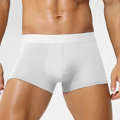 5 Stück Herren-Unterwäsche aus Eisseide, antibakteriell, atmungsaktiv, Netzhose, Sommer, dünn, sexy und bequem, vier Ecken, kurze Shorts, Kopf Image