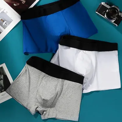 3 Stück Herren Unterwäsche Herren Boxer bequeme atmungsaktive einfarbige sexy männliche Boxershorts Herren Sport Unterwäsche Unterhosen Shorts Image