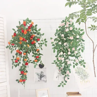 Flowers+Plants