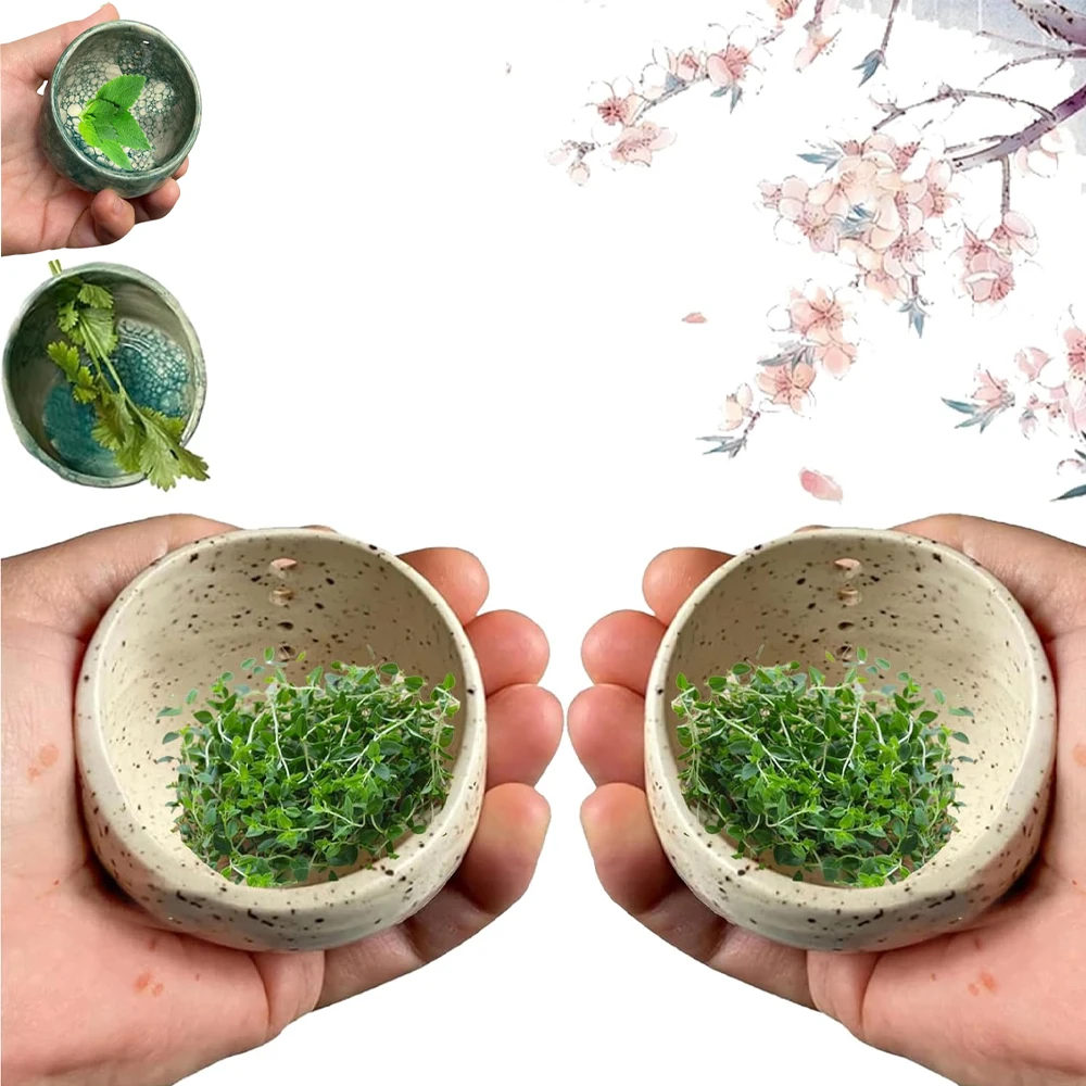 Keramik-Kräuter-Abisolierungsschale, neue Kräuter-Abisolierungsschale aus Keramik, handgefertigter Kräuter-Schälbecher aus Keramik für Koriander und Gemüse