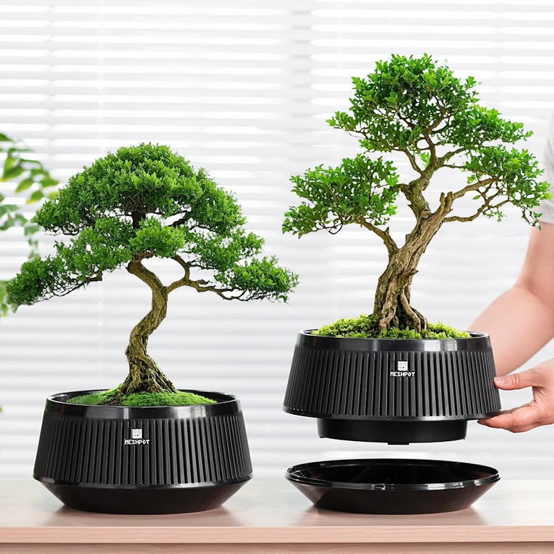 Meshpot Bonsai-Topf mit Untertasse, Kunststoff-Blumentopf mit Luftlöchern, Pflanzgefäß für Bonsai-Baum, Heimpflanzen, Topf, Garten-Sets Image