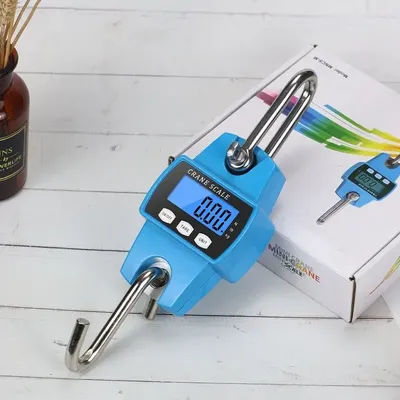 Digital Hanging Scale 660LB 300KG Heavy Duty Fish Crane Scale for Luggage Weight Suitcase Hunting