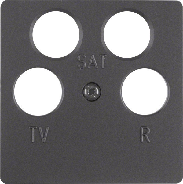 Berker Zentralplatte anth 14841606 Image