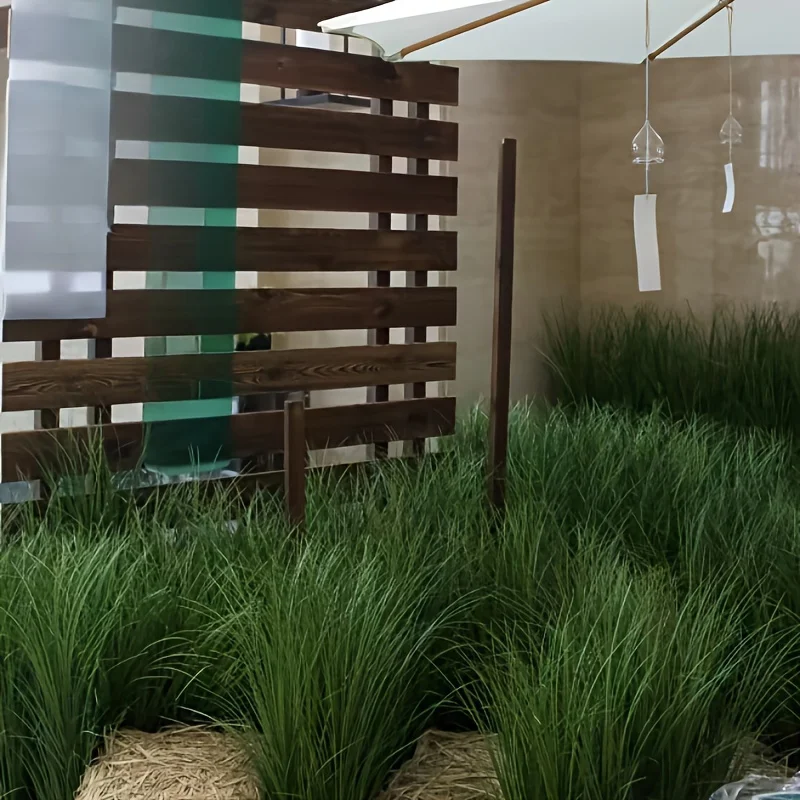 5 Stück kleines Gras Image