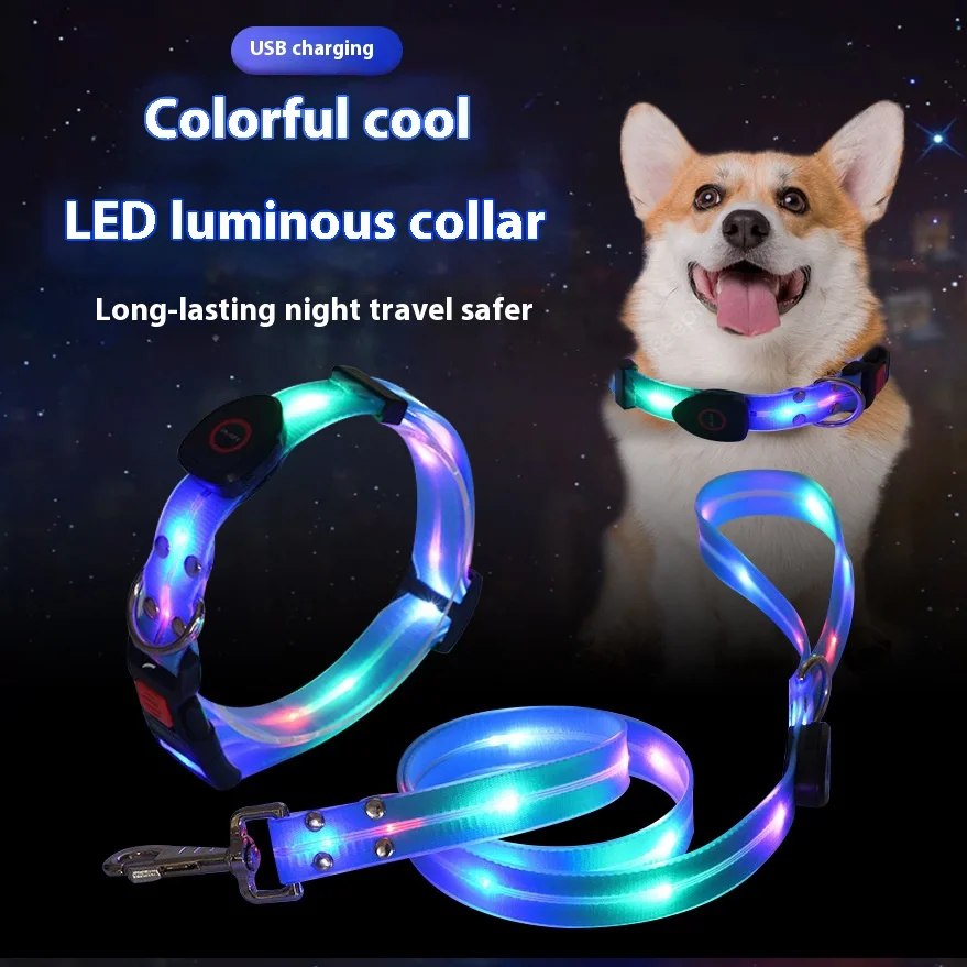 Hund Bunte Led Hund Leuchtende Kragen Wiederaufladbare Leuchtende Hund Seil Nylon PVC Gewickelt Band Haustier Leuchtende Kragen Image