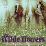 The Wilde Flowers (CD, 2015) - Wilde Flowers