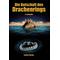 Die Botschaft des Drachenrings - Sylke Scheufler
