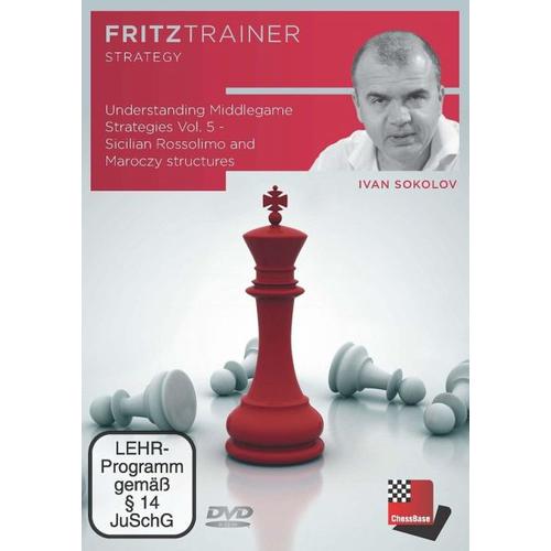 Understanding Middlegame Strategies Vol. 5, DVD-ROM - ChessBase Image