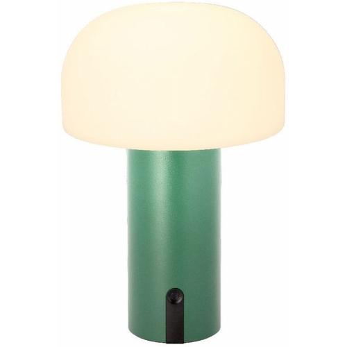 LED Lampe Styles 15 x 22,5 cm Grün PE