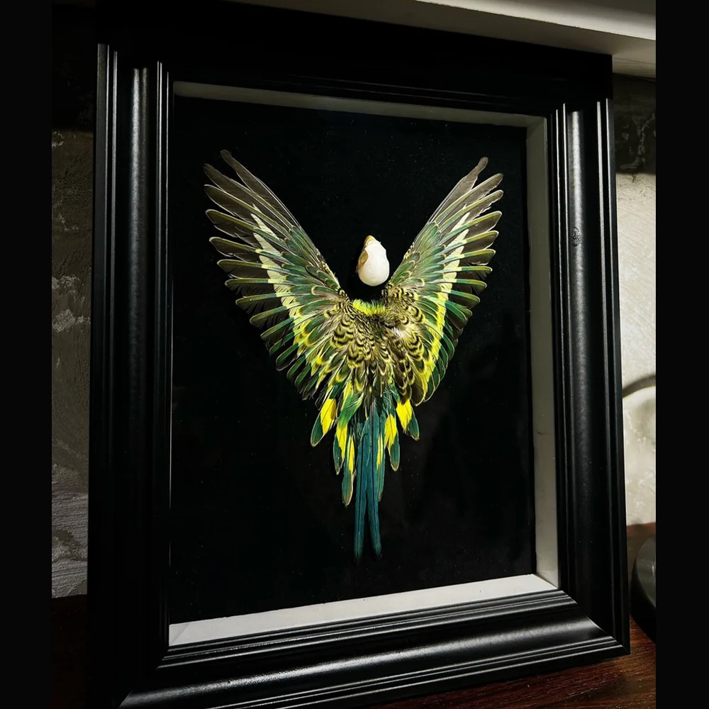 Echte Feder 3D Papagei Vogel Probe Authentische Wellensittich Kunsthandwerk mit Rahmen Ausstellung Display Kunst Desktop Malerei Geschenke Image