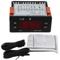 Termoregolatore di controllo del riscaldamento per scongelamento del frigorifero con regolatore di temperatura ETC-974 con doppio sensore NTC 220V