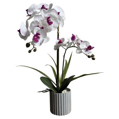 TEMU 1pc Lifelike Orchid Phalaenopsis, Plastic Flower In Pot, Decor For Valentine's Day, Christmas, Hanukkah, Thanksgiving, Day - Tabletop Display Image