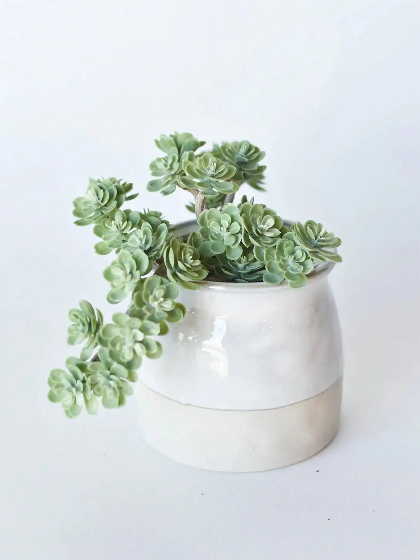 Faux Green Sedum Sukkulenten-Pick, Kunststoff, künstlicher Encrinit, Sukkulenten, Frühlingspflanzen, Heimdekoration, Büro, Pflanzenlandschaftsbau Image