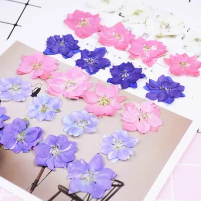 Flowers+Plants