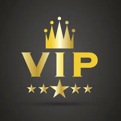 VIP payment link