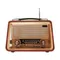 SCLS Altoparlanti Bluetooth wireless radio retrò portatili in legno Stereo HIFI Lettore radio AM/FM
