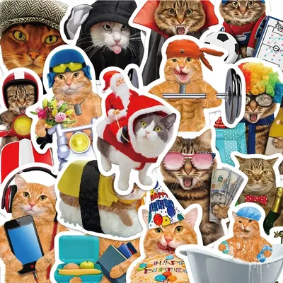 10/30/50PCS Lustige MEME Nette Tier Katzen Aufkleber Aufkleber Spielzeug DIY Graffiti Telefon Laptop Auto Wasserdicht kawaii Aufkleber für Kinder GIF Image
