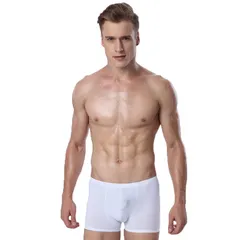 Sous-vêtements pour hommes soie glacée Ultra-mince été respirant hommes Boxer slips Boxer slips