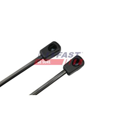FAST Gasfeder, Koffer-/Laderaum 670N für FORD 1722219 BC11V406A10AA FT94806K Image
