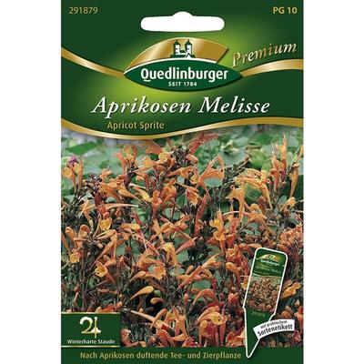 Quedlinburger Aprikosen Melisse Apricot Sprite - Premium Blumensamen Image