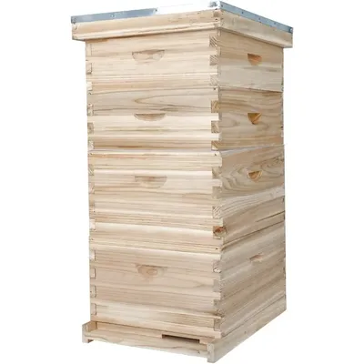 10-Frame Complete Bee Hives and Supplies Starter Kit, Beehives for Beginners with Beehive Frames and