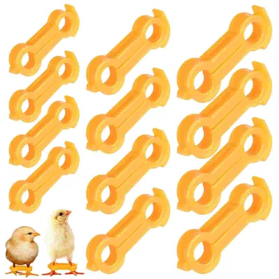 Bird+Supplies