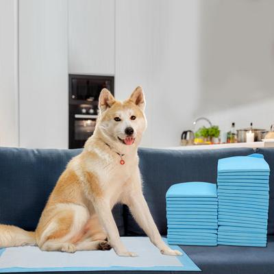 TEMU 40/80/120 Pack 60*60cm Puppy Pet Pee Training Pads Disposable Dog Pee Pads, Pet Diapers For Easy Quick-dry Potty Pads For Puppies | Dogs | Doggie| Cats | Rabbits Uppy Pee Pads Image